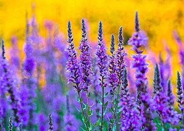 传《使命召唤：战区2》开发中 仅登陆PC和新主机